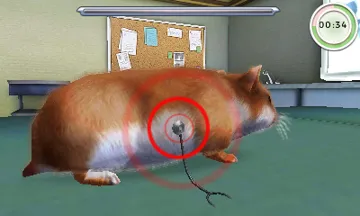 Animal Hospital (Europe)(En,Ge) screen shot game playing